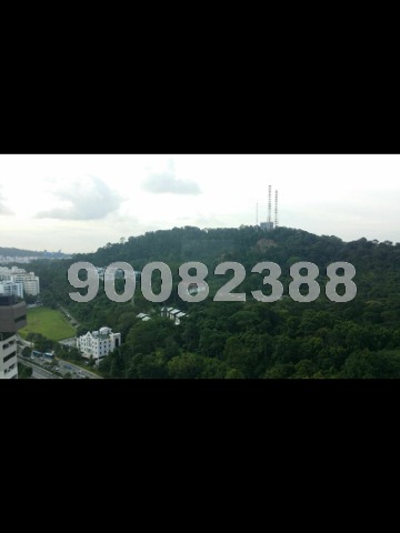 Beauty World Centre (D21), Apartment #983052